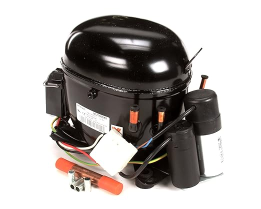 Compressor Assembly 115V60HZ/100V50HZ NT2168GK. - ChefParts