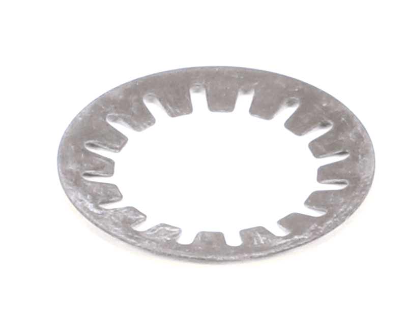 cup spring - 000000000110000095