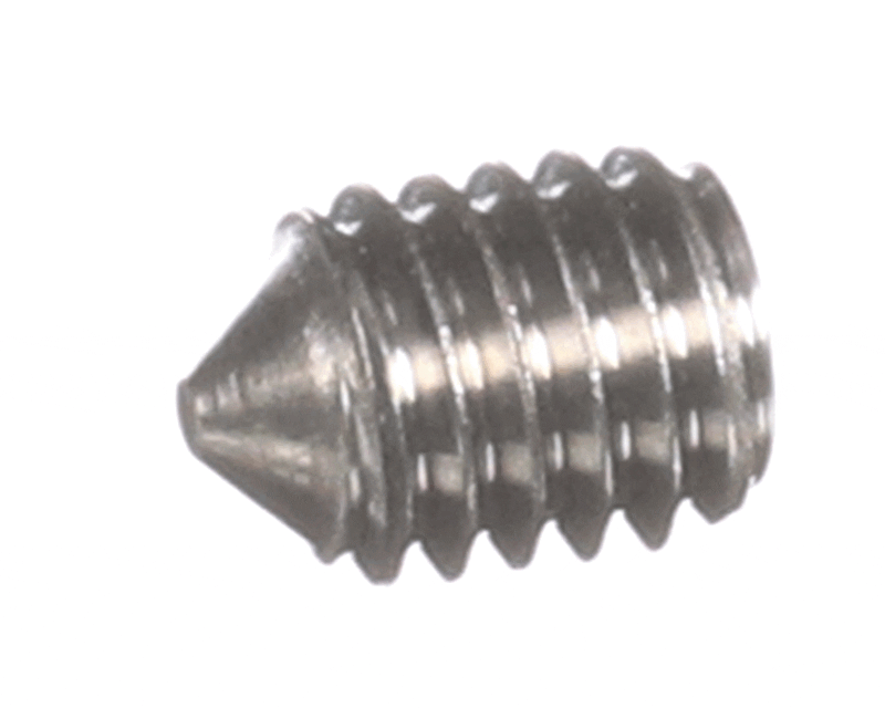 Schaerer 3371009048 Set Screw, Socket Head, Pointed Tip, M6 x 8MM