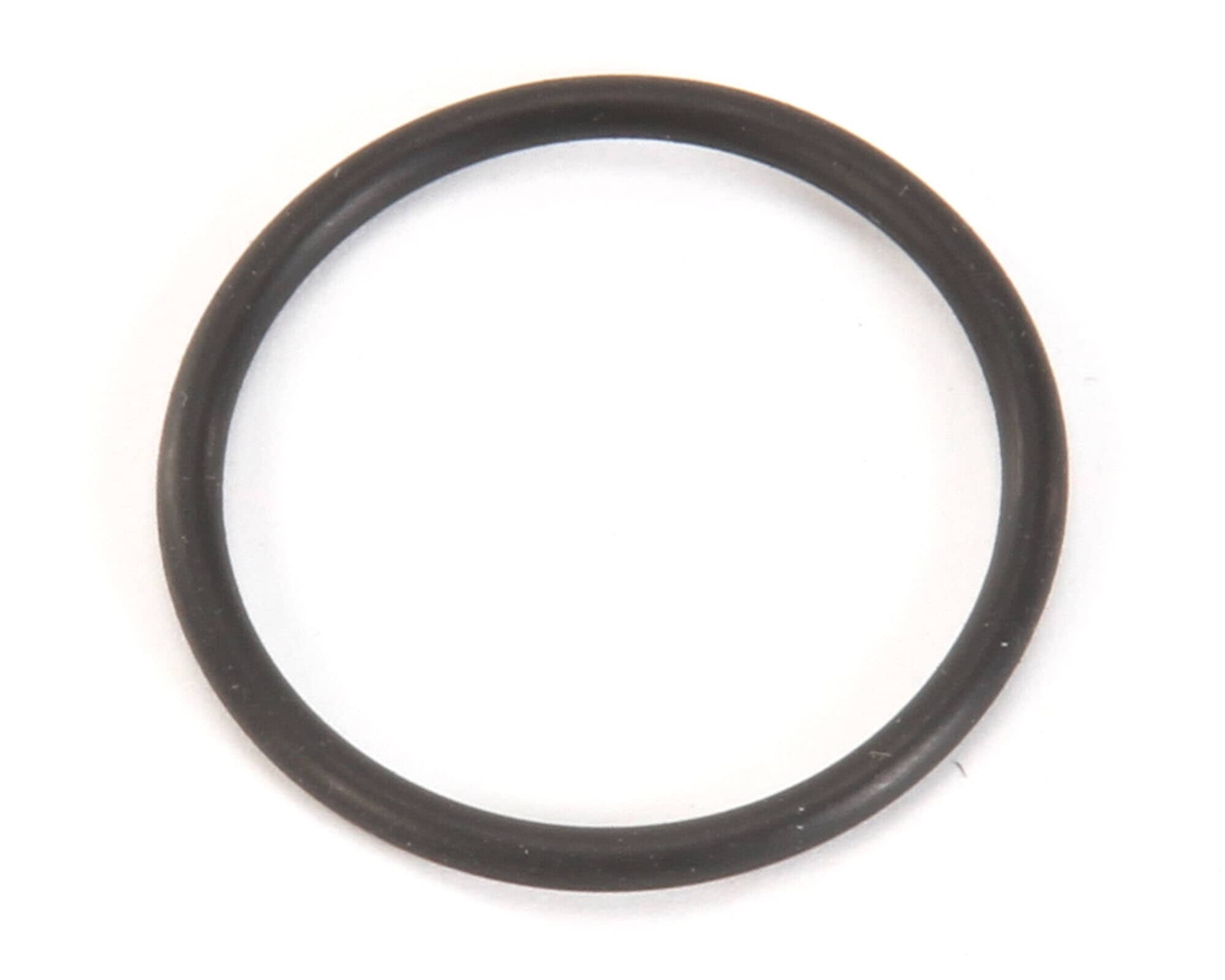 o-ring, whipper chamber - 24733.001