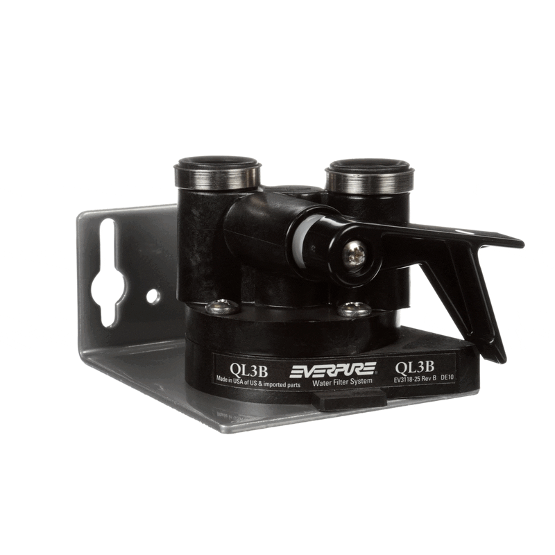 Everpure EV925924 QL3B Head Assembly